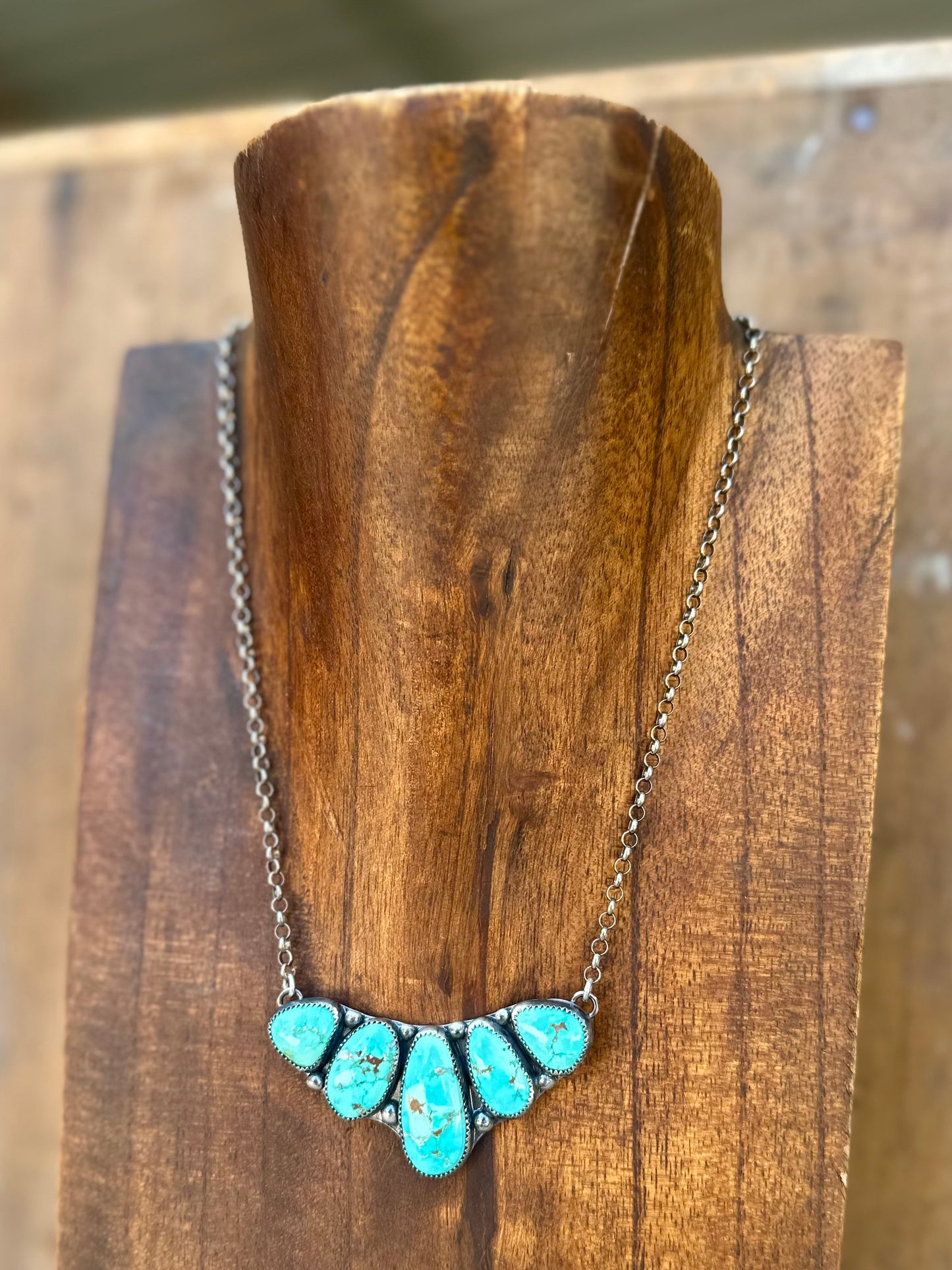 Sonoran Curved Bar Necklace